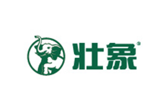 壮象