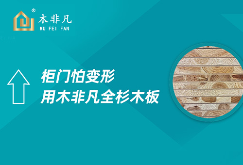 木非凡招商进行时