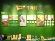 冰雪淬融·智暖万家丨千年舟哈尔滨展会，解锁家居新潮流