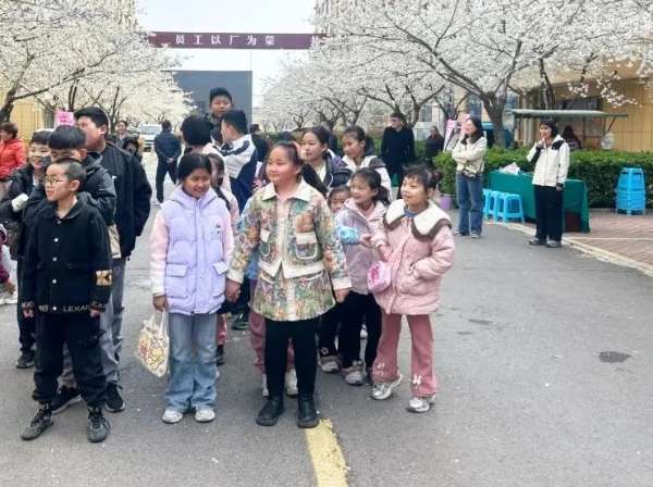 板材网