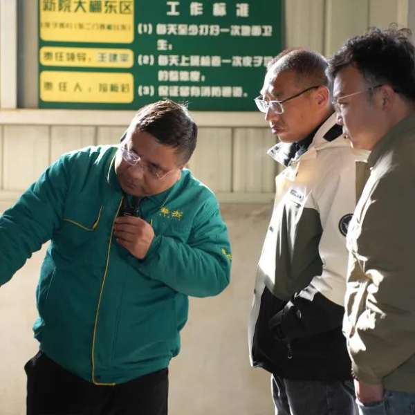 板材网
