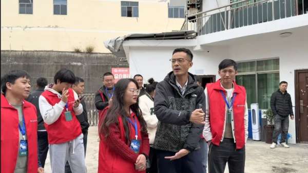 板材网