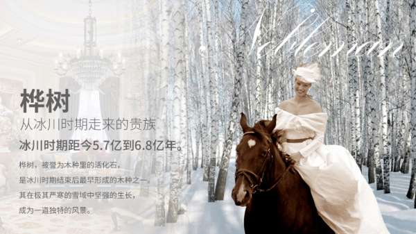 板材网