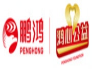 鸿心公益丨鹏鸿走进榆林市第九小学点亮爱心之光