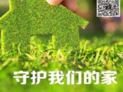 小熊贝贝：好的产品，自己会说话