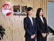 鹏鸿板材再度荣膺木业网“生态板十大品牌”！