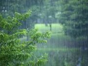梅雨季节板材怎么选？森鹿板材是您的首选！