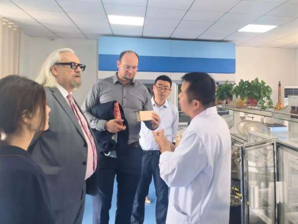 板材网