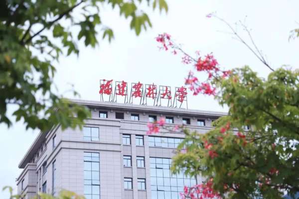 板材网
