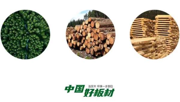 板材网