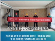 项目探访丨新型难燃OSB板，助力青岛千万级豪宅打造