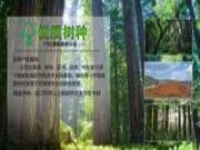 “不忘初心，方得始终”——莫干山地板