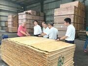 三棵树集团高级副总裁林德殿一行莅临新顺兴考察
