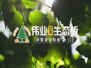 ENF杨木生态板，板中的爱马仕