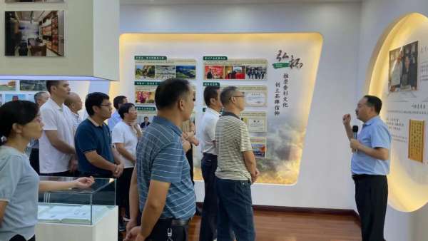板材网