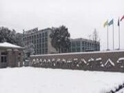 兔宝宝帮你解决下雪天的困惑