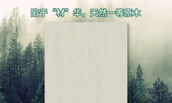 板材网