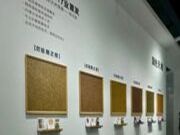 国色天湘、人气之王！天湘板业震撼新品首发，闪耀亮相2023广州建博会！