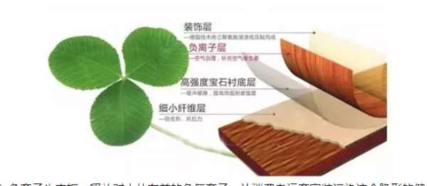 板材网