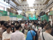 六月第一战，兔宝宝板材环保行荆州站