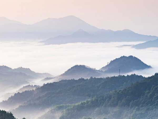 板材网