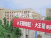 大王椰板材工厂视频新鲜出炉，戳进来先睹为快！