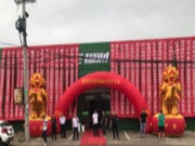 福财树板材北方运营中心成立，发展中共同举力