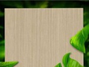 ENF板材 | 以爱之名，守护您的健康