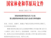 喜报！壮象获评“国家林业重点龙头企业”