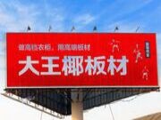 抢占市场制高点，大王椰供应链生态平台引领行业未来
