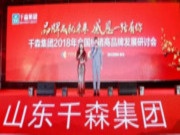 板材十大品牌成就未来·感恩一路有你——千森集团2018年全国经销商品牌发展研讨会圆满成功！