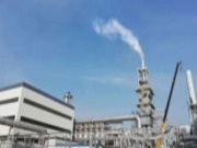 鲁丽木业35万m³/年OSB生产线干燥尾气超低排放改造项目顺利投运