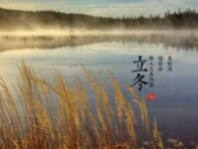 安氏亚森板材 | 立冬已至，天地始寒，回归纯粹本质，悦享舒适生活