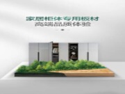 大王椰森芯健康板，ENF级环保更高端