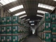 板材十大品牌壮象：让您呼吸森林的清香，把健康驮回家！