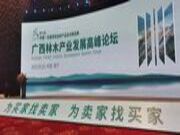 大咖云集，独树一帜！壮象受邀出席广西林木产业发展高峰论坛