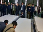 广西田林县党政代表团到壮象板材考察