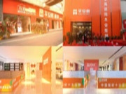 平安树板材CHM系统又开始培养老板啦！