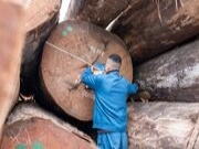 莫干山高端家具板 | 以原木之名，重构生活本真