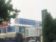 扎根市场 谋划全局丨促万年树板材品牌升级发展