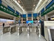 木博会第二日丨这是一张什么「网红板材」，为何人人都青睐？
