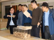 中国建材市场协会工程招标采购分会考察千年舟集团