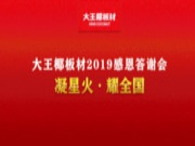 凝星火·耀全国 | 一大波经销商活动火热开展，大王椰板材让这个冬天“燃”起来！