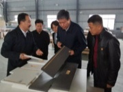 自治区副主席费志荣到壮象集团调研