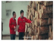 领取你家的“绿色健康板材”