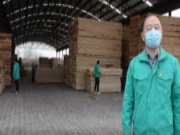抑疫生辉，木业园区在行动——镇江国林生态产业城
