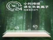 24小时尽享清新空气，维他康氧板给你一个无醛鲜氧的家
