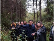 鲁丽木业董事长率队赴湖南、江西考察林业基地