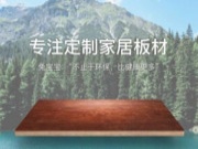 我们专注家居定制板材，更关注健康~