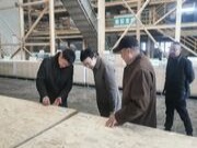 李建峰率队考察板材产业发展